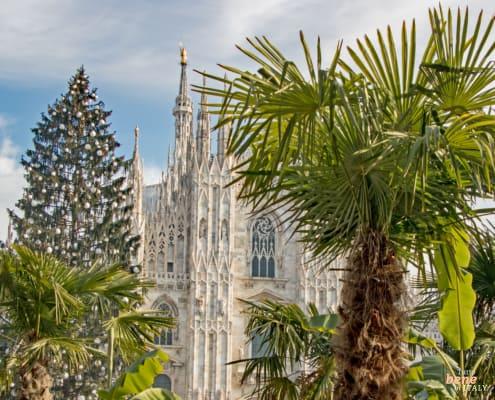Milan Duomo with the golden Madonna • m24o View of Milan Cathedral with the golden Madonna on top and palm trees in the Cathedral Square in 2021