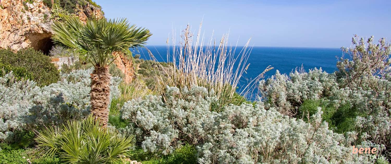Parco dello Zingaro Sizilien Das Naturschutzgebiet Riserva Naturale dello Zingaro umfasst einen bezaubernden Küstenabschnitt mit spektakulären Stränden und ist eine der größten Touristenattraktionen Siziliens.