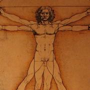 Leonardo da Vinci Vitruvian Man Milan • m24o Leonardo da Vinci's Vitruvian Man drawing showing ideal human proportions.