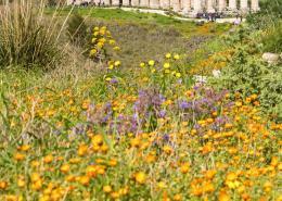 Segesta Temple, famous archeological site • m24o The archaeological park of Segesta is one of the most famous tourist attractions in western Sicily.