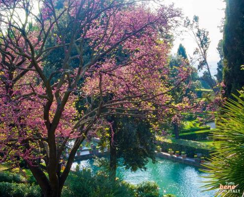 Villa d'Este Tivoli • m24o Villa d'Este Tivoli