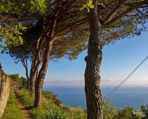 Cinque Terre Wanderweg nach Corniglia