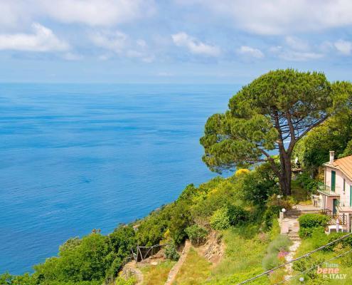Meeresblick bei Fornacchi in den Cinque Terre • m24o Wanderung von Fornacchi nach Vernazza