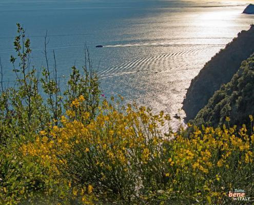 Ligurian Coastal Cinque Terre • m24o Ligurian Coastal Cinque Terre