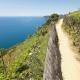 Cinque Terre Hiking Path