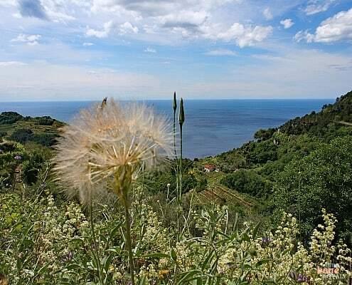 Cinque Terre fascination landscape in Liguria, Italy