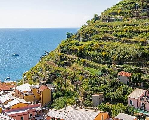 Cinque Terre terraced vineyards in Italy • m24o Terraced vineyards around the Cinque Terre villages