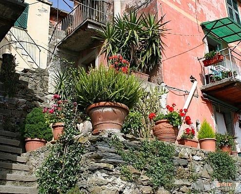 Cinque Terre Muro, Siedlugng oberhalb von Vernazza • m24o Cinque Terre Muro, Siedlugng oberhalb von Vernazza