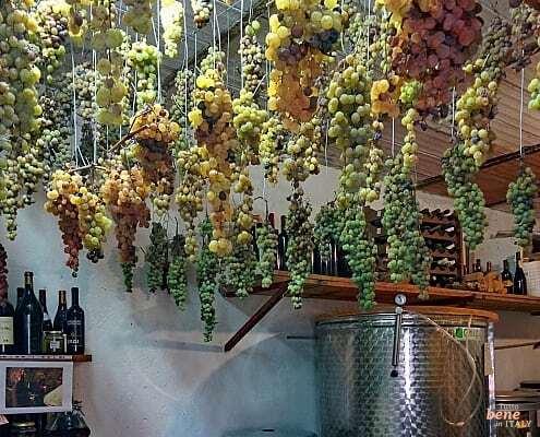 Dessertwein Sciacchetra der Cinque Terre • m24o Sciacchetra ist ein ganz besonderer süßer Dessertwein der Cinque Terre