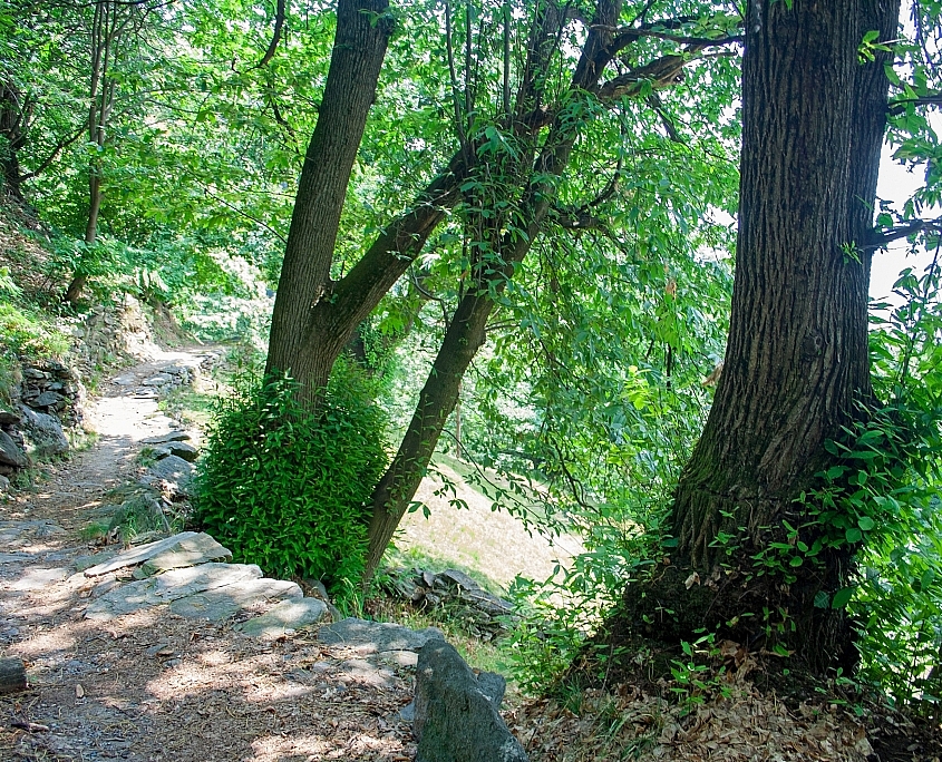 Hiking trail on Monte Bracco Piedmont, Italy • m24o Hiking trail on Monte Bracco to the stone settlemente Balma Boves Piedmont, Italy