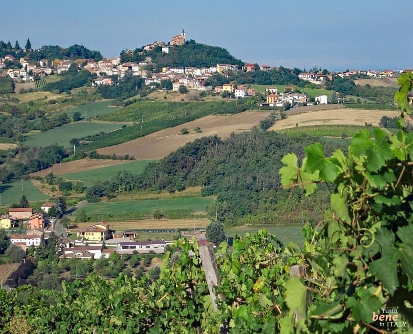 Weinhänge rund um Tortona im Piemont, Norditalien • m24o Weinberge bei Sarezzano, Tortona im Piemont, Norditalien