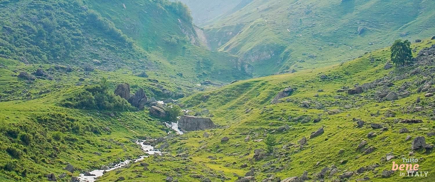 The valley of the Po is fertile pasture land for cows