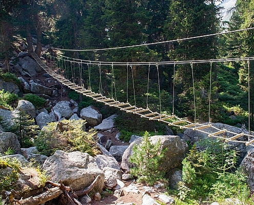 Bregaglia Valley, Suspension bridge over the Orlegna stream • m24o Bregaglia Valley, Suspension bridge over the Orlegna stream