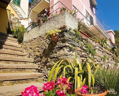 Settlement Muro above Vernazza • m24o Settlement Muro above Vernazza
