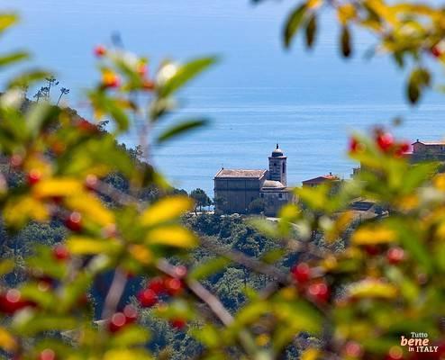 Cinque Terre view to the Sanctuary of San Bernardino above Corniglia • m24o Cinque Terre view to the Sanctuary of San Bernardino above Corniglia