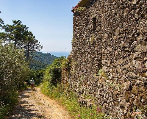 Cinque Terre Wanderweg Nr. 530 • m24o Cinque Terre Wanderweg Nr. 530