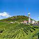 Steep vineyards of the Prosecco region near Valdobbiadene in Veneto under a bright blue sky.