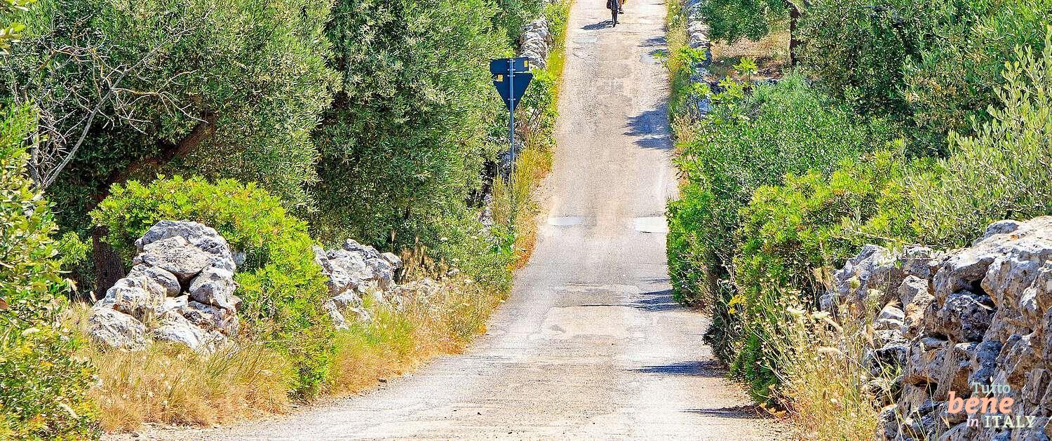 Biketour in Apulia Biketour in Apulia