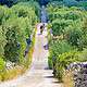 Biketour in Apulia