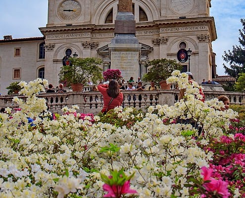 Spanish Stairs in Rome with flowers in spring