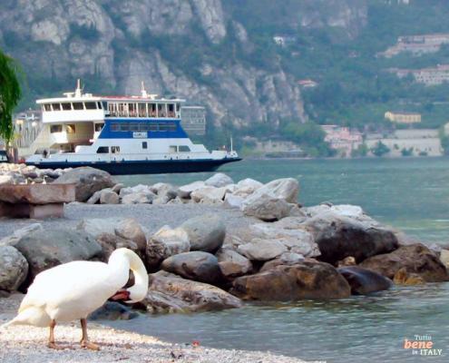 Der nördliche Gardasee bei Limone
