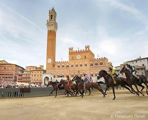 Palio di Siena horse race • Fotostudio Donati Palio di Siena horse race