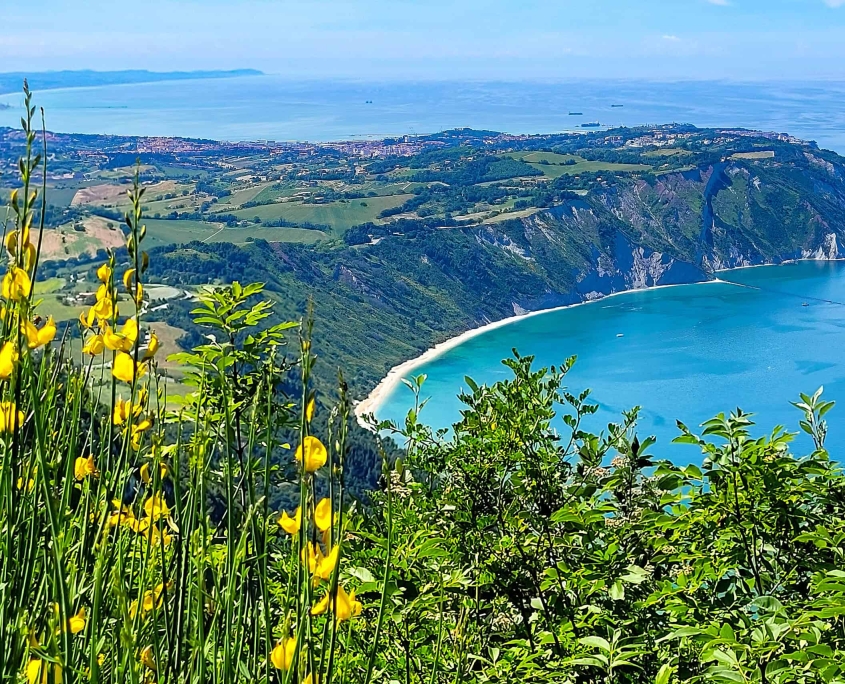 Panorama-Blick auf den Monte Conero • m24o Weitwinkelaufnahme des Monte Conero in den Marken, der steil in das blaue Wasser der Adria abfällt.
