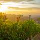 The Italian region Piedmont is for lovers of wine and gourmet