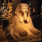 Museo Egizio Turin Sphinx Statue Egyptian Museum Exhibit • m24o An ancient Egyptian stone sphinx statue inside the atmospheric and dimly lit exhibition hall of the Museo Egizio in Turin.