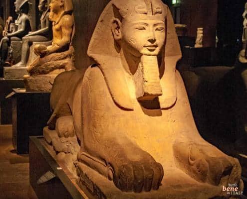 Museo Egizio Turin Sphinx Statue Egyptian Museum Exhibit • m24o An ancient Egyptian stone sphinx statue inside the atmospheric and dimly lit exhibition hall of the Museo Egizio in Turin.