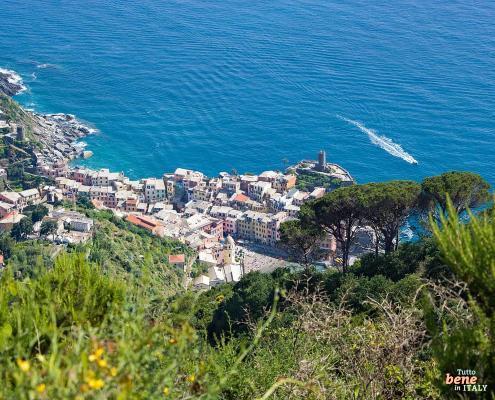 View to Vernazza from the hiking path on the cliffs in the Cinque Terre