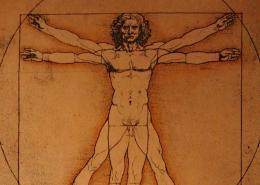 Leonardo da Vinci Vitruvian Man Milan • m24o Leonardo da Vinci's Vitruvian Man drawing showing ideal human proportions.