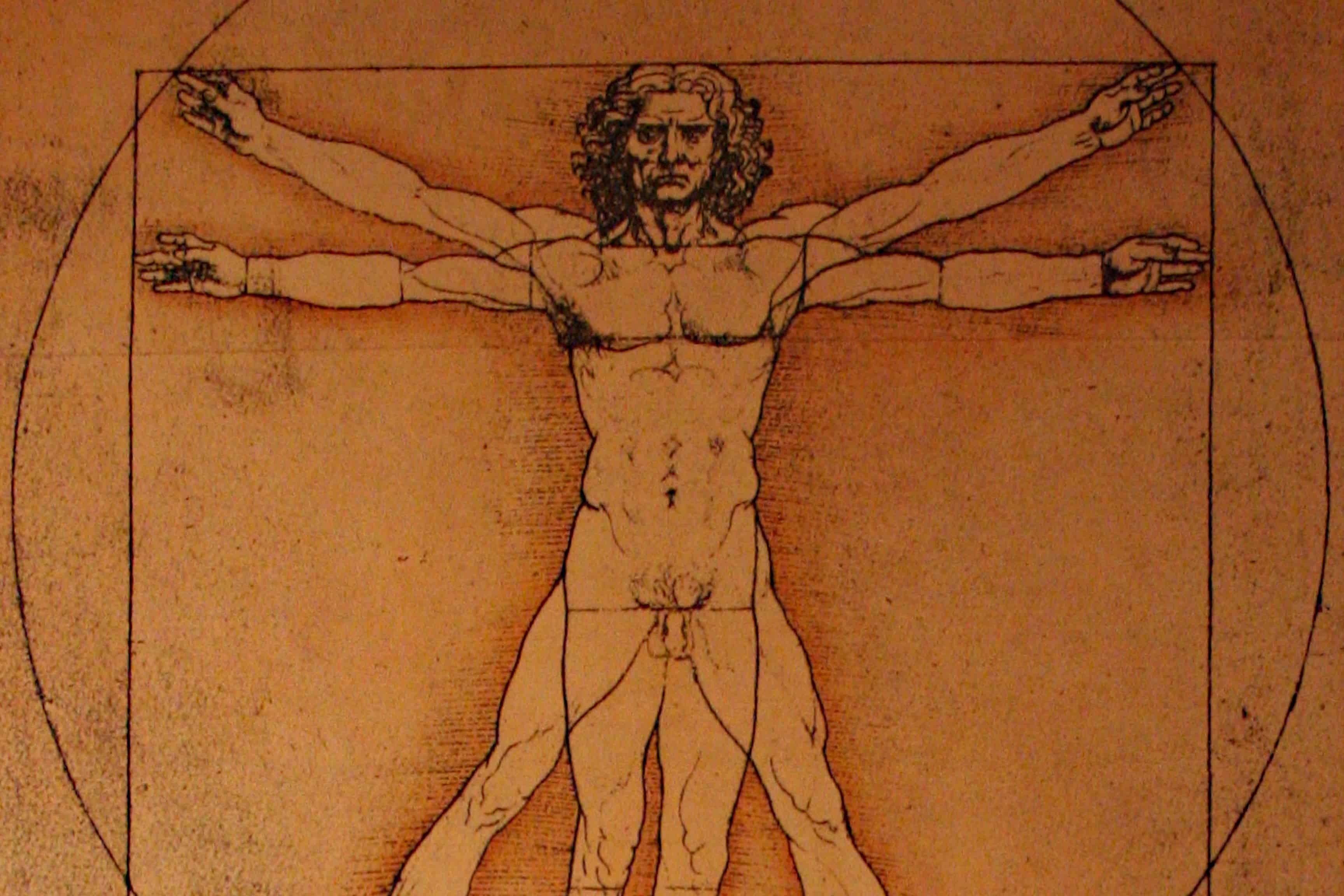 Тело возрождение. Витрувианский человек Леонардо да ви. Человек Леонардо да Винчи. Картина да Винчи человек Витрувианский. Золотое сечение человека Леонардо да Винчи Витрувианский человек.