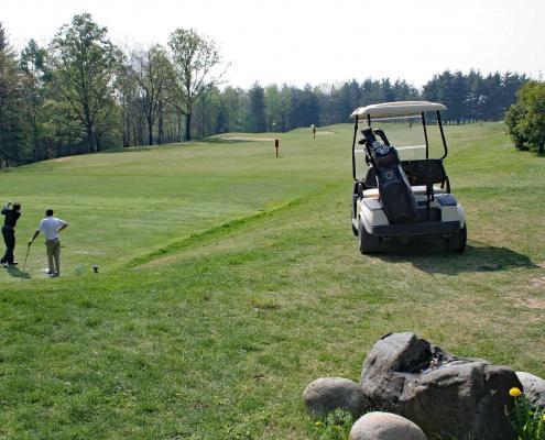 Golf Cart La Pinetina Golf Club Appiano Gentile