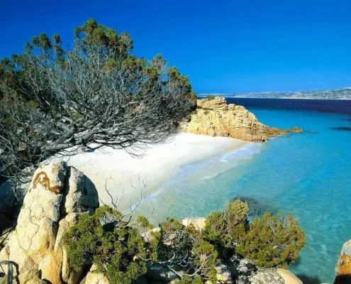 Sardinische Küste in Italien mit kristallklarem Wasser