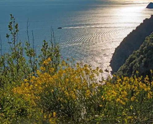 Ligurian Coastal Cinque Terre