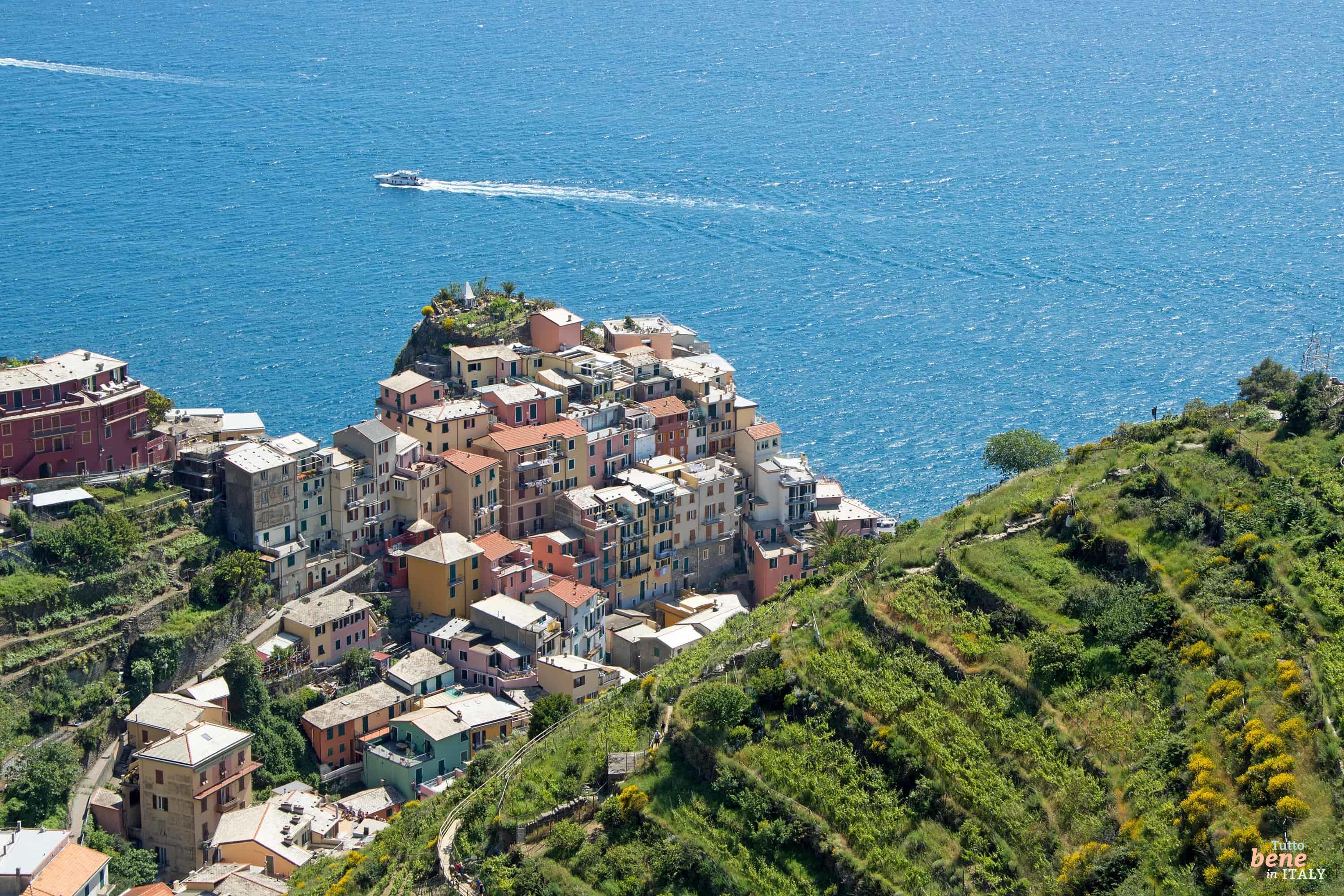 What To Do in Manarola • Hiking and Holidays in the Cinqueterre