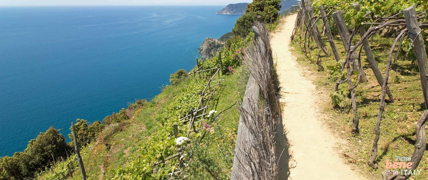 Cinque Terre Hiking Path Cinque Terre Hiking Path