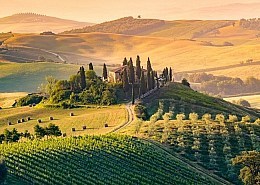 Rolling hills of Tuscany with cypress trees and a small town in morning mist.