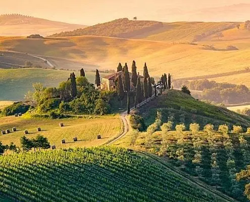 Rolling hills of Tuscany with cypress trees and a small town in morning mist.