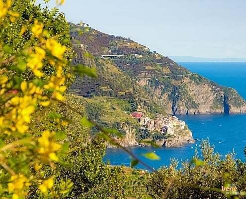 Cinqueterre, view to Manarola • m24o The Mediterranean scrub blooms over Manarola on the Cinqueterre hiking trail