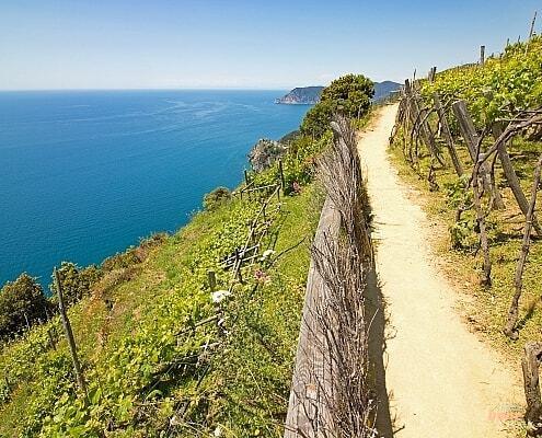Hiking Path from Manarola to Corniglia in the Cinque Terre • m24o Hiking path in the Cinque Terre over the cliffs from Manarola to Corniglia