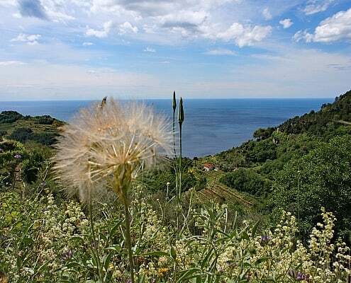 Cinque Terre fascination landscape in Liguria, Italy