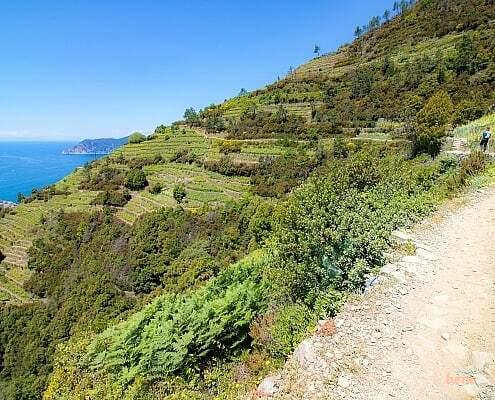 Cinque Terre Wandern durch die Tesrassen der Weinberge • m24o Weinterrassen über den Klippen in den Cinque Terre, Italien