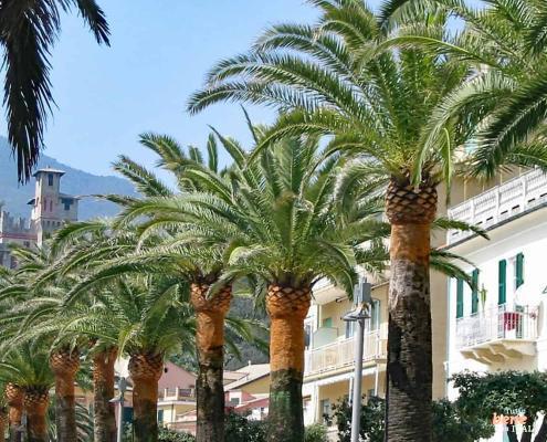 Wandern in Ligurien, Moneglia • m24o Wandern in Ligurien, Moneglia