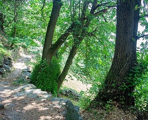 Hiking trail on Monte Bracco to the stone settlemente Balma Boves Piedmont, Italy