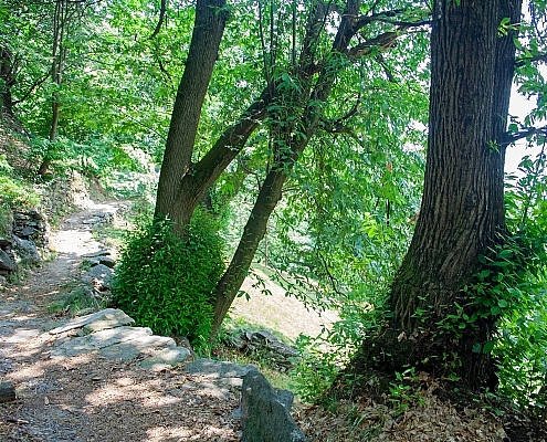 Hiking trail on Monte Bracco Piedmont, Italy • m24o Hiking trail on Monte Bracco to the stone settlemente Balma Boves Piedmont, Italy