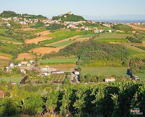 Piedmont Italy's famous wind region