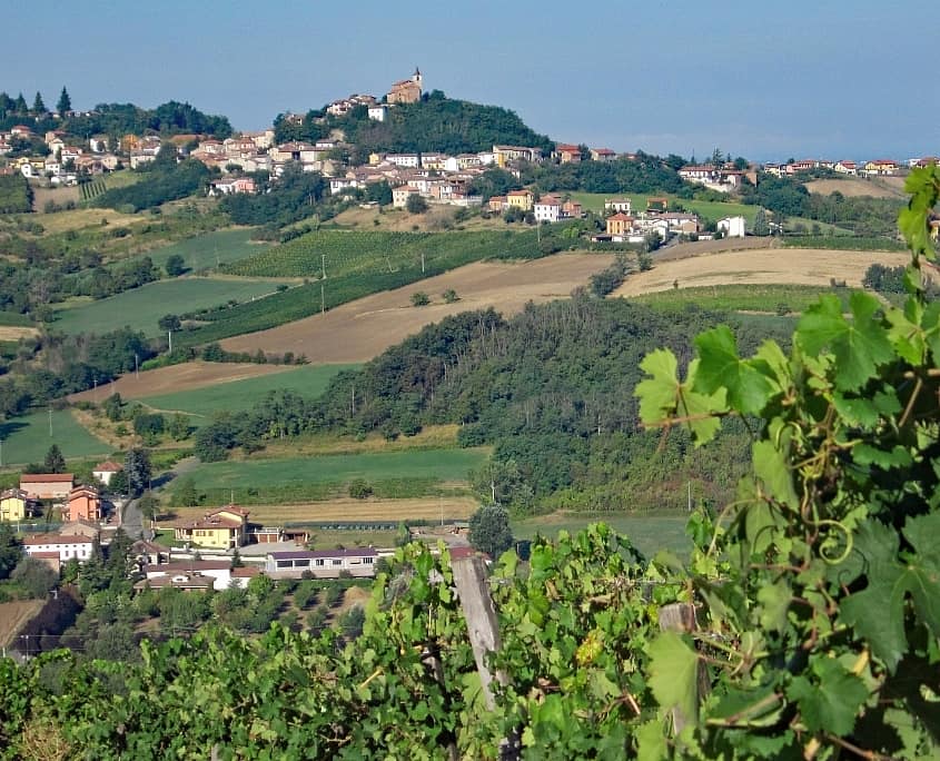 Weinberge bei Sarezzano, Tortona im Piemont, Norditalien
