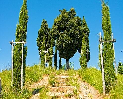 Path, lined with cypresses, to the pyramids of Montevecchia